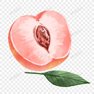 红灯社区下载官方版APP应用