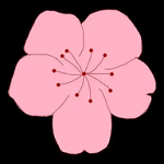 看黄直播APP应用